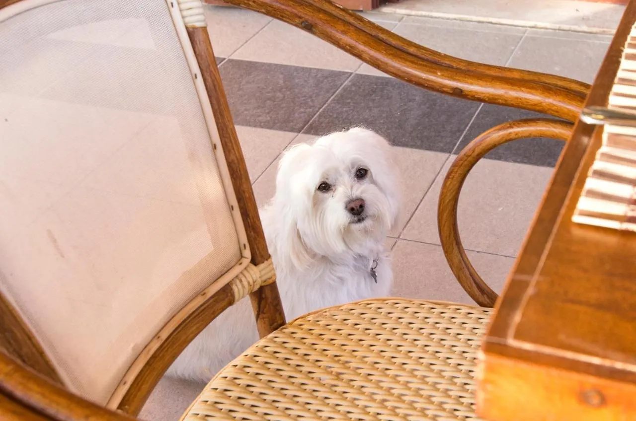 Sand'Ana House B&B Alghero Bed & Breakfast